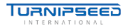 Turnipseed International logo